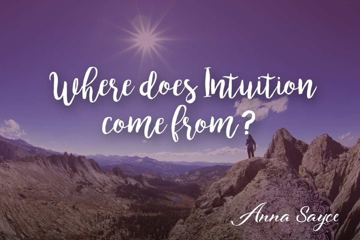 Where Does Intuition Come From Where Does Intuition Come From