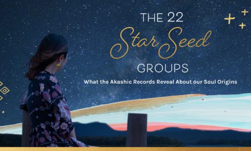 Which star seed group do you belong to?